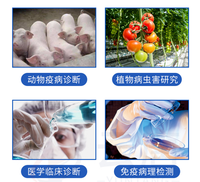 動物疫病檢測儀的檢測范圍有哪些？