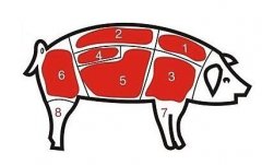 病害肉檢測儀讓老百姓吃上放心肉！